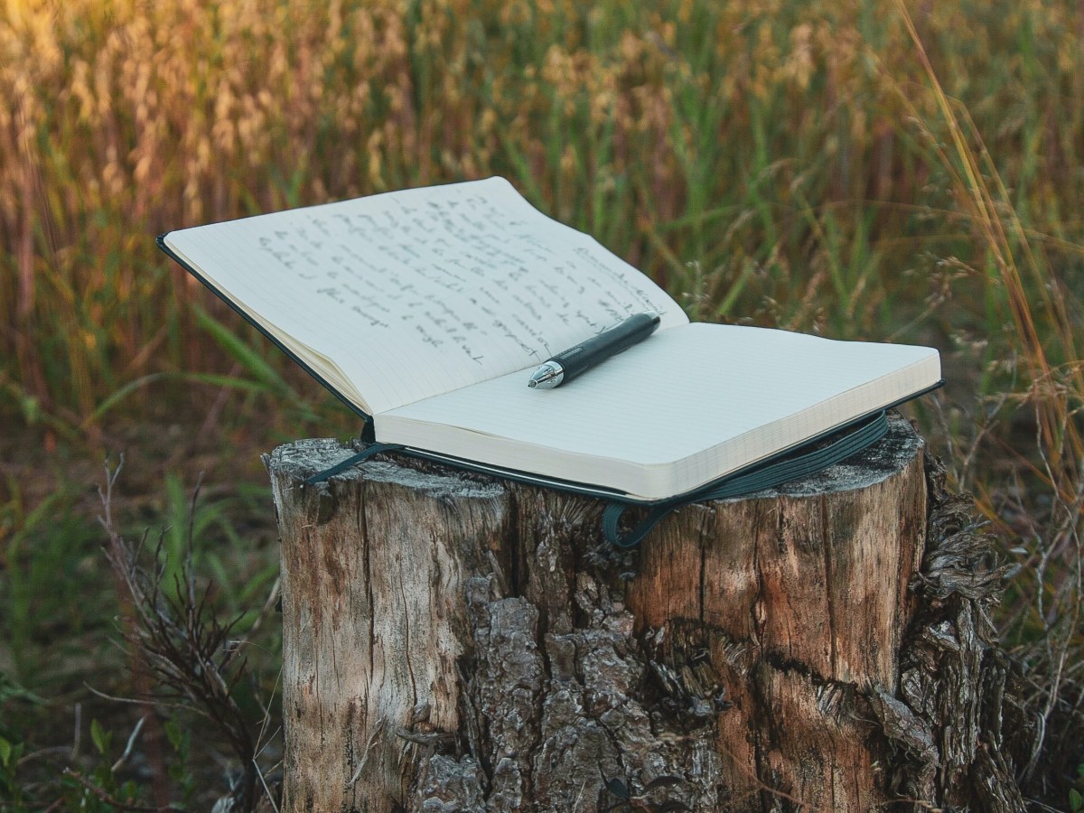 2.03 – Introducing Types of Poems: Slide Deck (English&nbsp;Lesson)