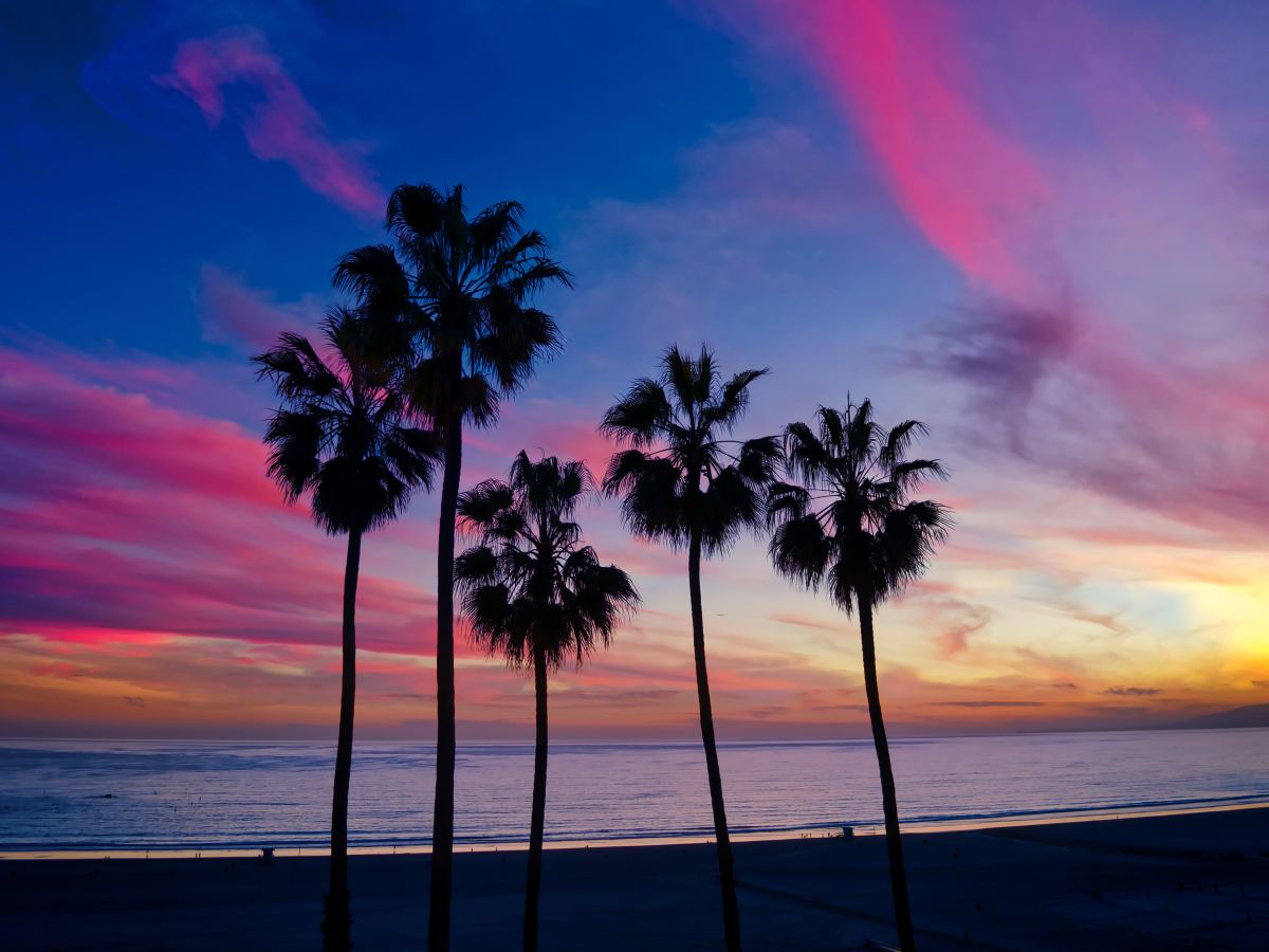 4.03 – Writing a PALM Story: Ideation for Short Stories (English&nbsp;Lesson)